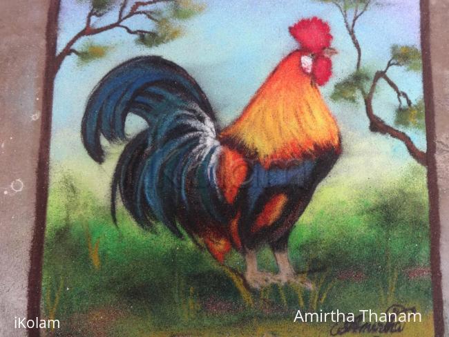 Rangoli: COCK