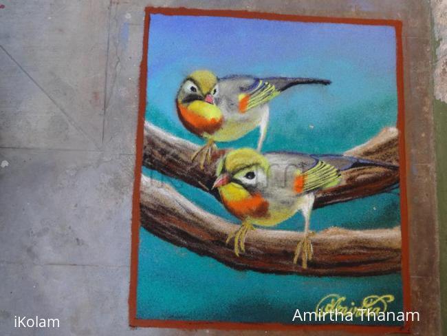 Rangoli: birds