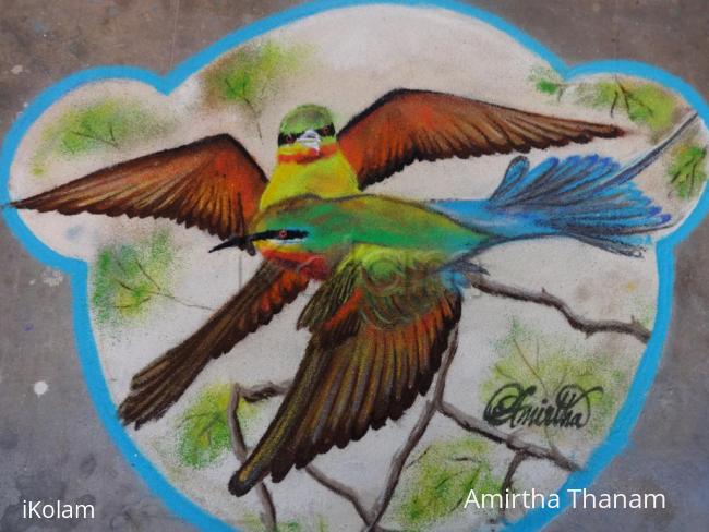 Rangoli: BIRDS