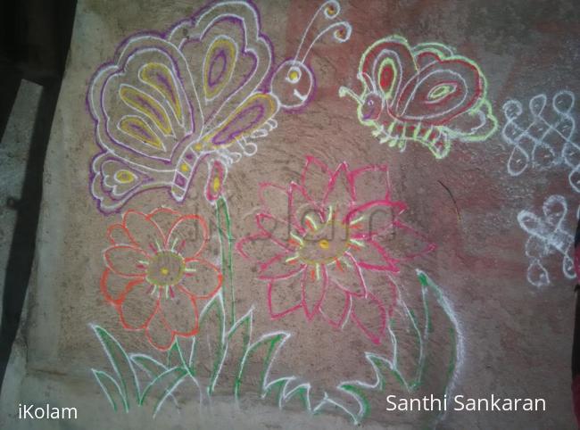 Rangoli: Butterfly rangoli 