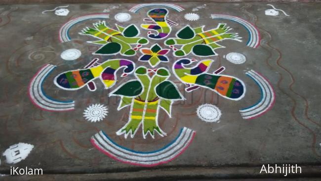 Rangoli: Parrots and peacocks 