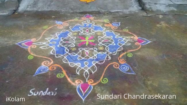 Rangoli: pongal celebration day 3