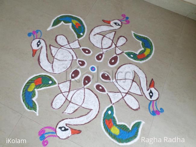 Rangoli: FANCY DRESS COMPETITION FOR WHITE PEACOCKS.