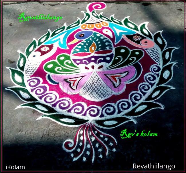 Rangoli: Rev's peacock design margazhi 3.