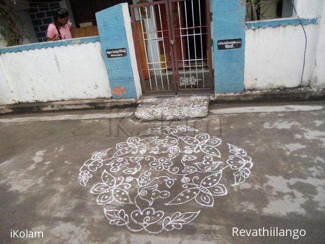 Rangoli: Butterfly & creeper kolam in white.