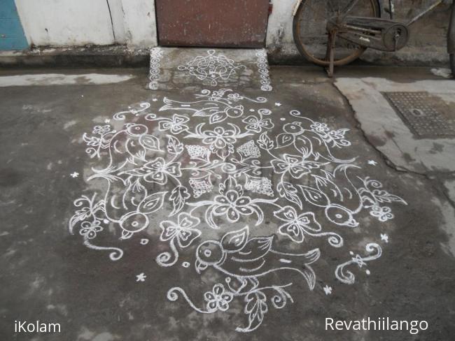 Rangoli: Parrots kolam in white.