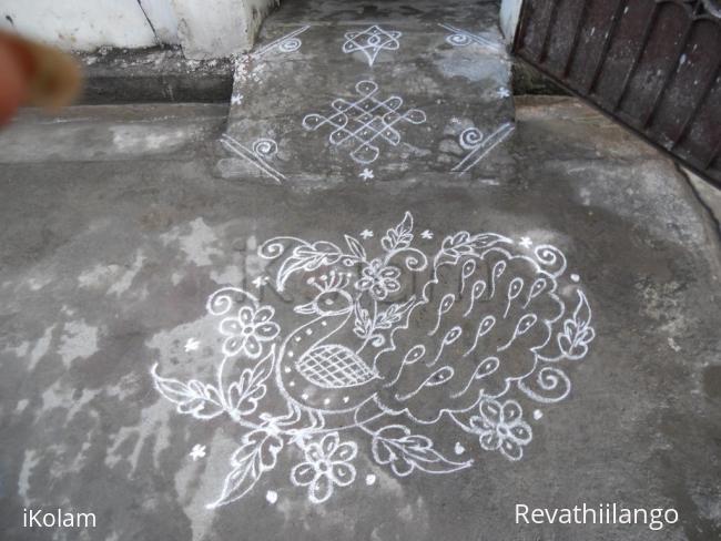 Rangoli: Daily kolam. Peacock.