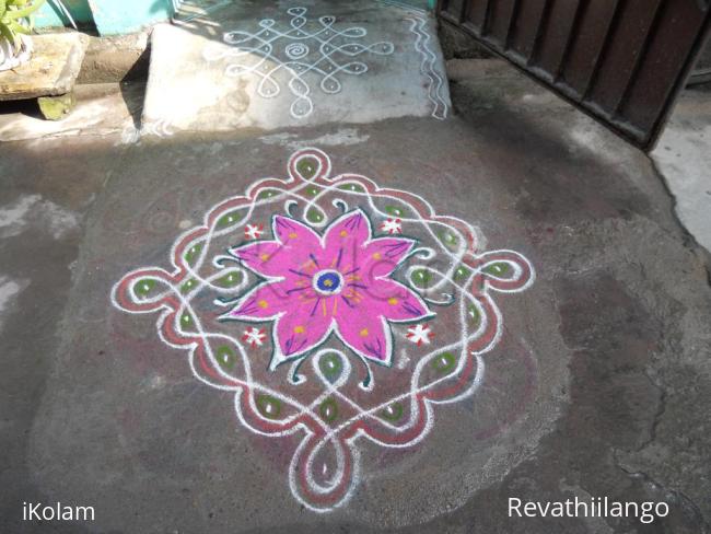 Rangoli: Chikku kolam with flower.