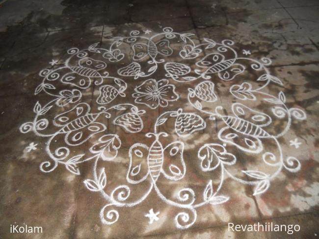 Rangoli: Butterfly in climbers. Kolam in white.