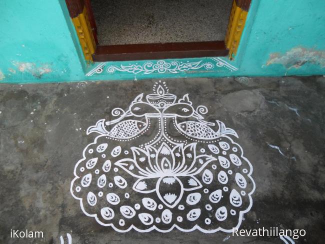 Rangoli: Rev's paint kolam. Peacock kolam.