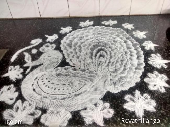 Rangoli: Rev's trial peacock kolam.