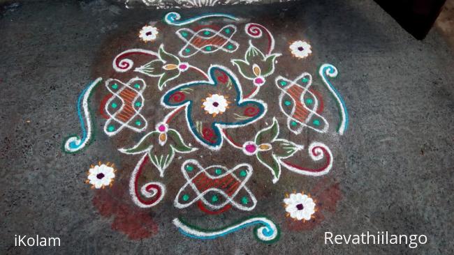 Rangoli: Rev's chikku flower kolam 5.