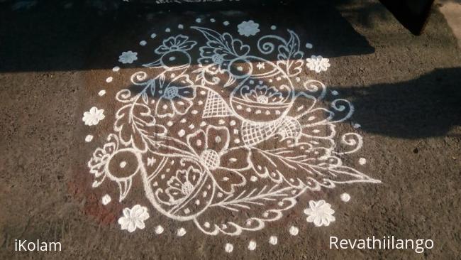 Rangoli: Rev's friday peacocks.