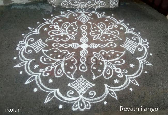 Rangoli: Rev's butterfly chikku 51.