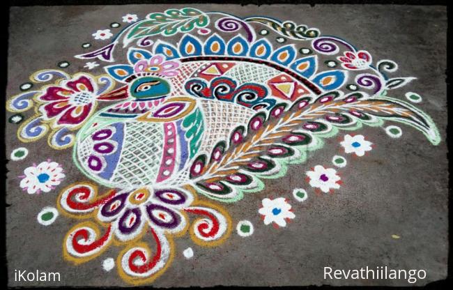 Rangoli: Rev's designer peacock for friday.