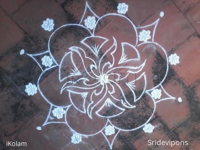 Rangoli: my first rangoli in ikolam