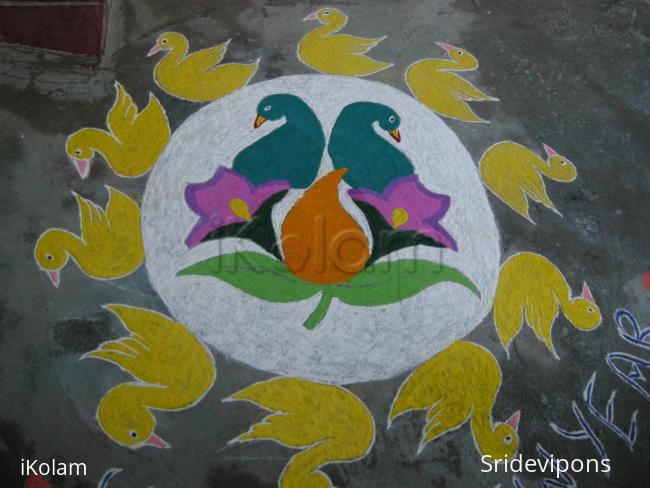 Rangoli: Flock of birds rangolii