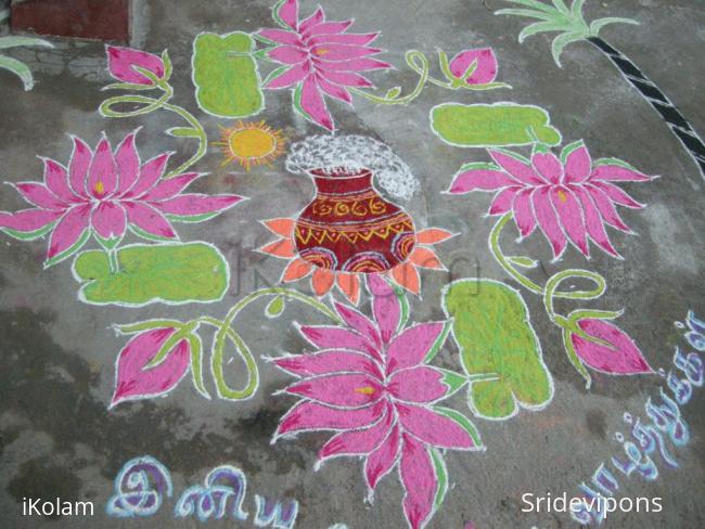 Rangoli: Lotus rangoli