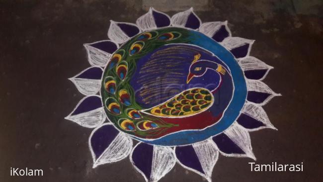 Rangoli: Peacock  kolam