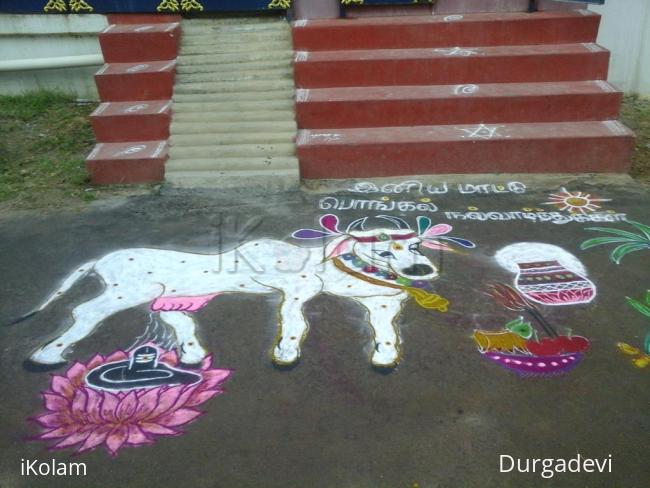 Rangoli: mattu pongal kolam