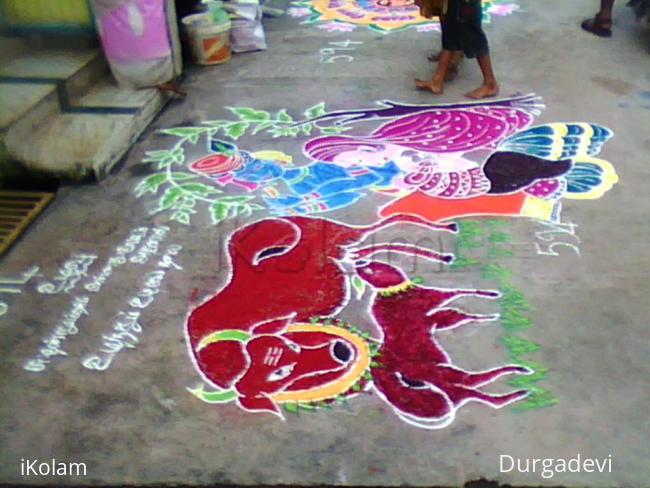 Rangoli: dd mattu pongal kolam collection