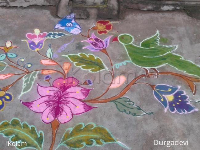 Rangoli: DD parrot kolam