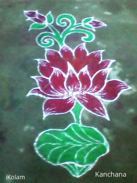 Rangoli: lotus 