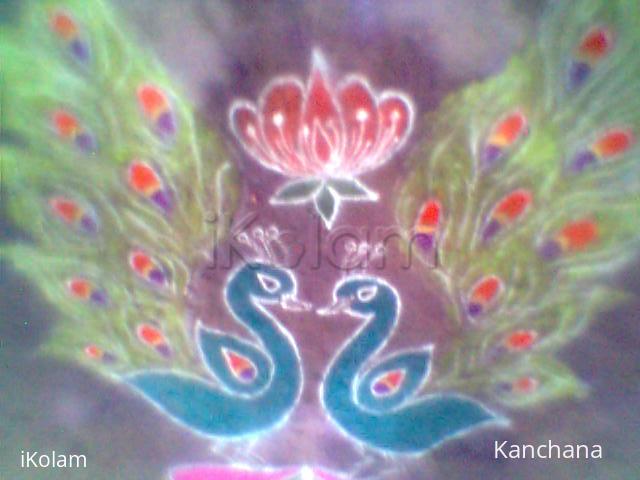 Rangoli: peacock rangoli 2014