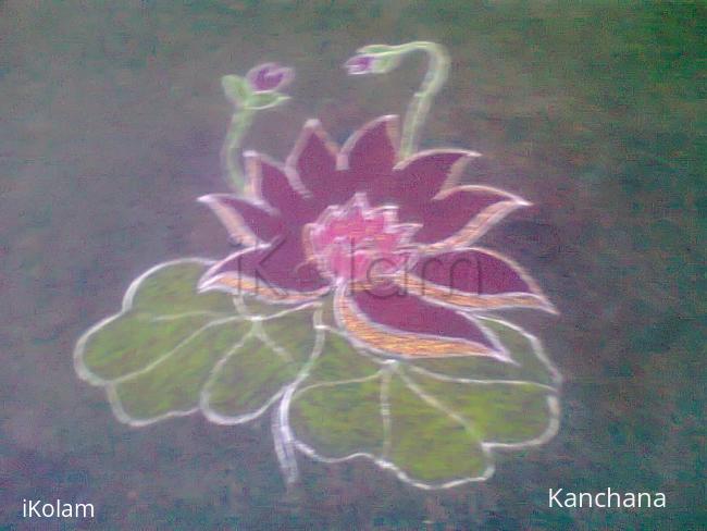 Rangoli: margazhi dewdrop contest 2016