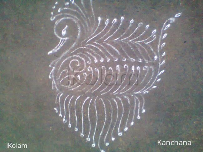 Rangoli: aadi tuesday peacock in lines