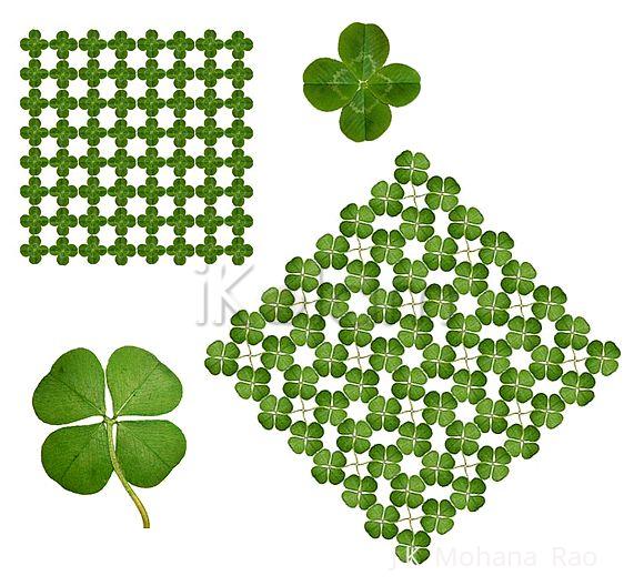 Rangoli: May the luck of the Irish rub on you today! 