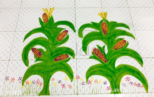 Rangoli: Happy National corn day