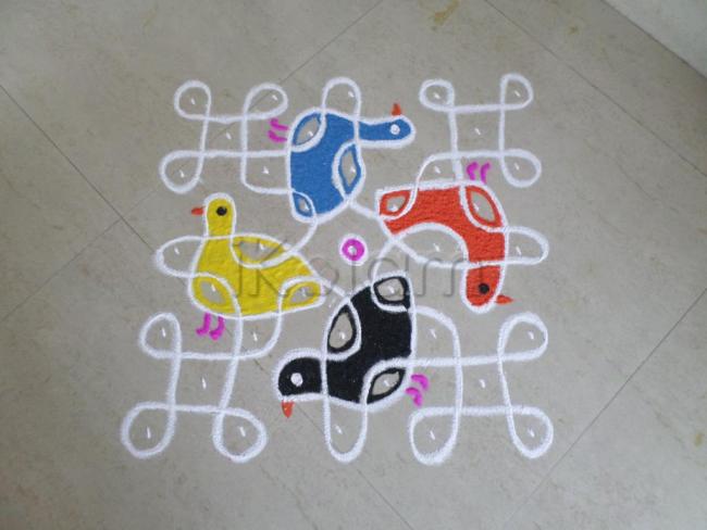 chicks chikku kolam