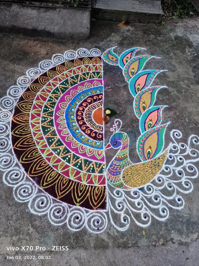 Easy rangoli🍁Simple rangoli design🍁daily easy rangoli🍁rangoli designs  🍁simple kolam🍁daily easy kolam - YouTube