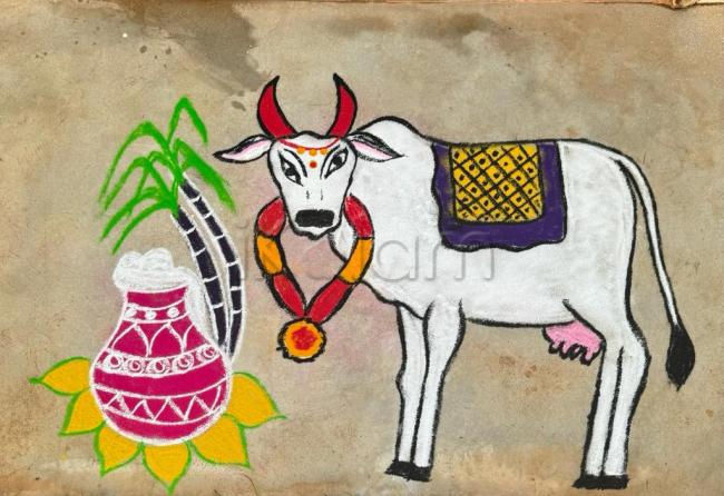 How to draw a Maattu Pongal festival//Cow and pongal pot drawing step by  step. - YouTube
